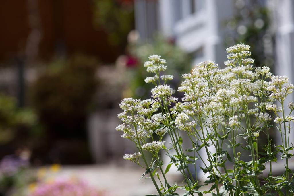 Penwinnick House B&B St Austell Exteriör bild